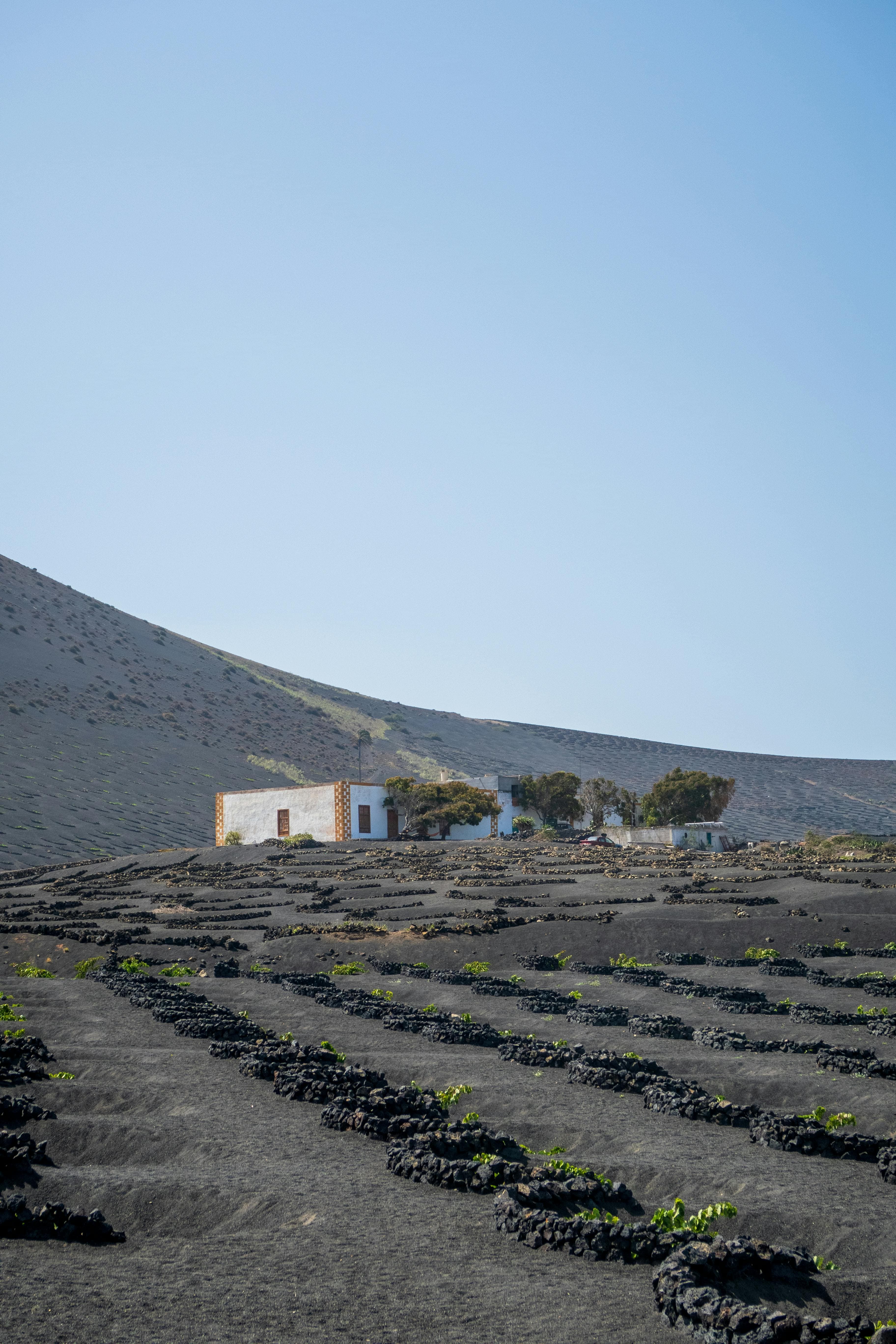 Private sunset dinner on a volcanic cliff in Lanzarote